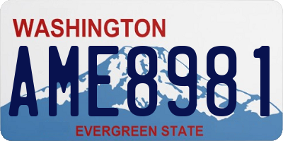WA license plate AME8981