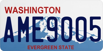 WA license plate AME9005