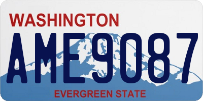 WA license plate AME9087