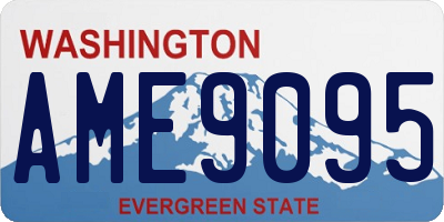 WA license plate AME9095