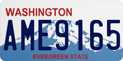 WA license plate AME9165