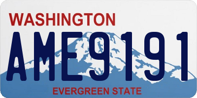 WA license plate AME9191