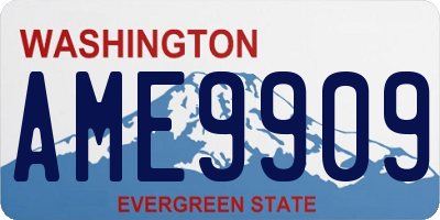 WA license plate AME9909