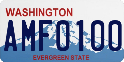 WA license plate AMF0100