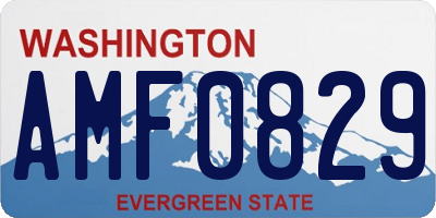 WA license plate AMF0829