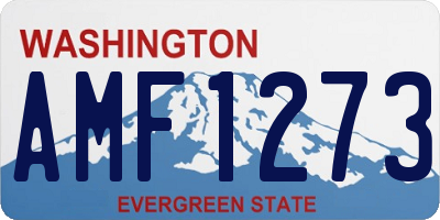 WA license plate AMF1273