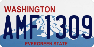 WA license plate AMF1309