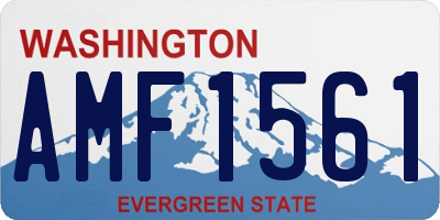 WA license plate AMF1561
