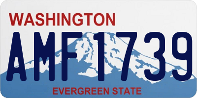 WA license plate AMF1739