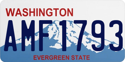 WA license plate AMF1793