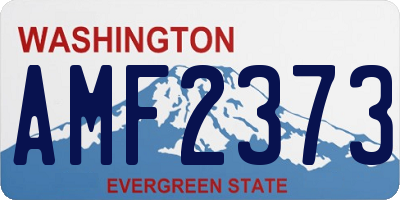 WA license plate AMF2373