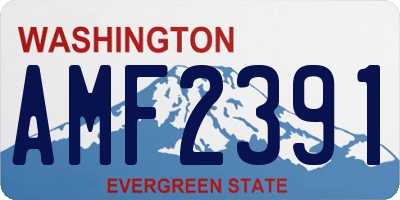 WA license plate AMF2391