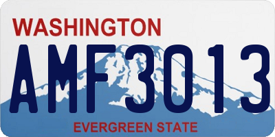 WA license plate AMF3013