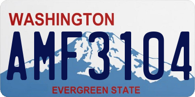 WA license plate AMF3104