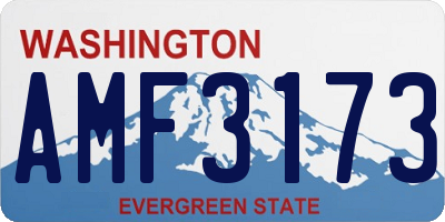 WA license plate AMF3173