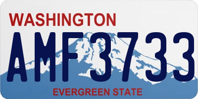 WA license plate AMF3733