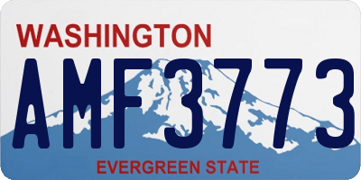 WA license plate AMF3773