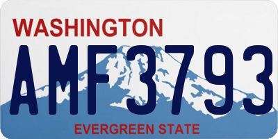 WA license plate AMF3793