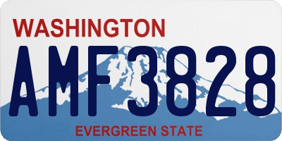 WA license plate AMF3828