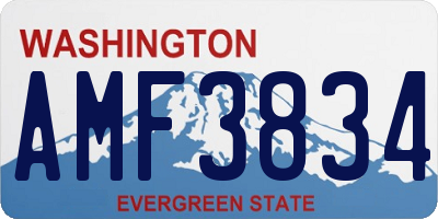 WA license plate AMF3834