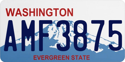 WA license plate AMF3875