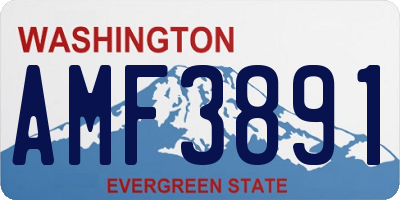 WA license plate AMF3891