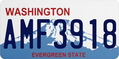 WA license plate AMF3918