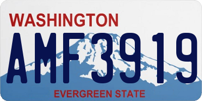WA license plate AMF3919