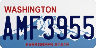 WA license plate AMF3955