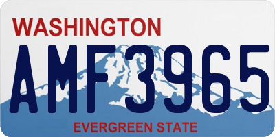 WA license plate AMF3965
