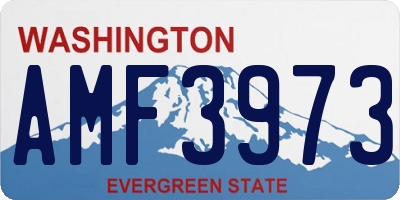 WA license plate AMF3973