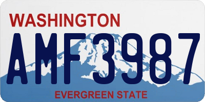 WA license plate AMF3987