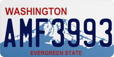WA license plate AMF3993