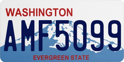 WA license plate AMF5099