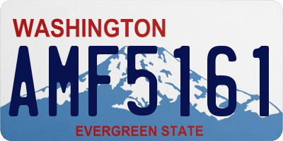 WA license plate AMF5161
