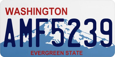 WA license plate AMF5239