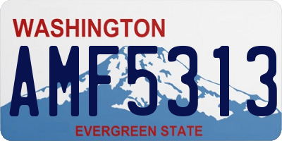 WA license plate AMF5313