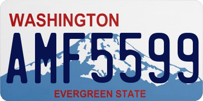 WA license plate AMF5599