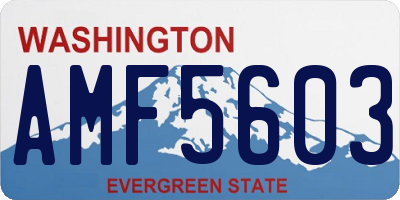 WA license plate AMF5603