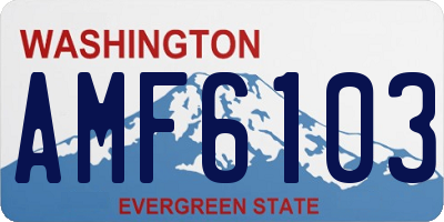 WA license plate AMF6103