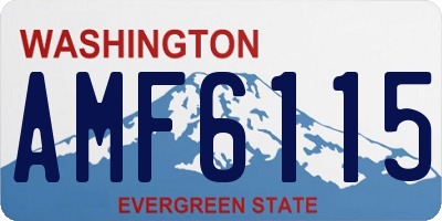 WA license plate AMF6115