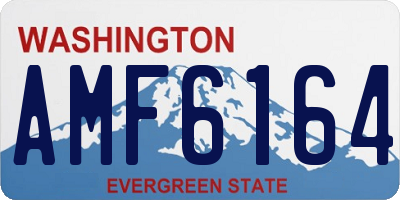 WA license plate AMF6164
