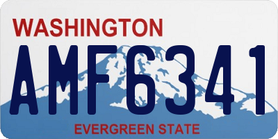 WA license plate AMF6341