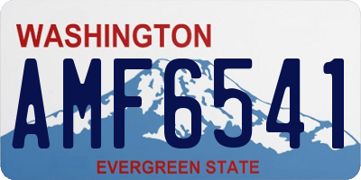 WA license plate AMF6541