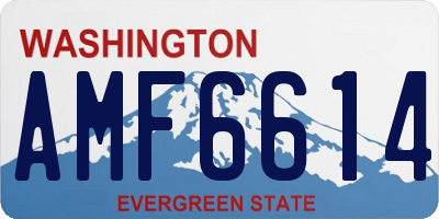 WA license plate AMF6614