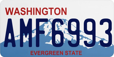 WA license plate AMF6993