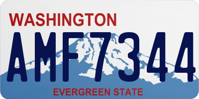WA license plate AMF7344