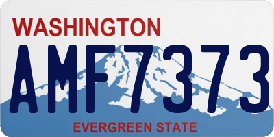 WA license plate AMF7373