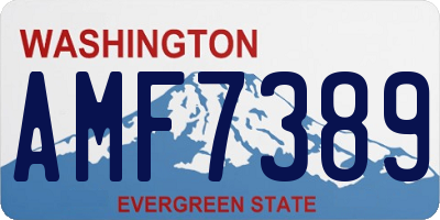 WA license plate AMF7389