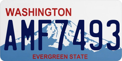 WA license plate AMF7493
